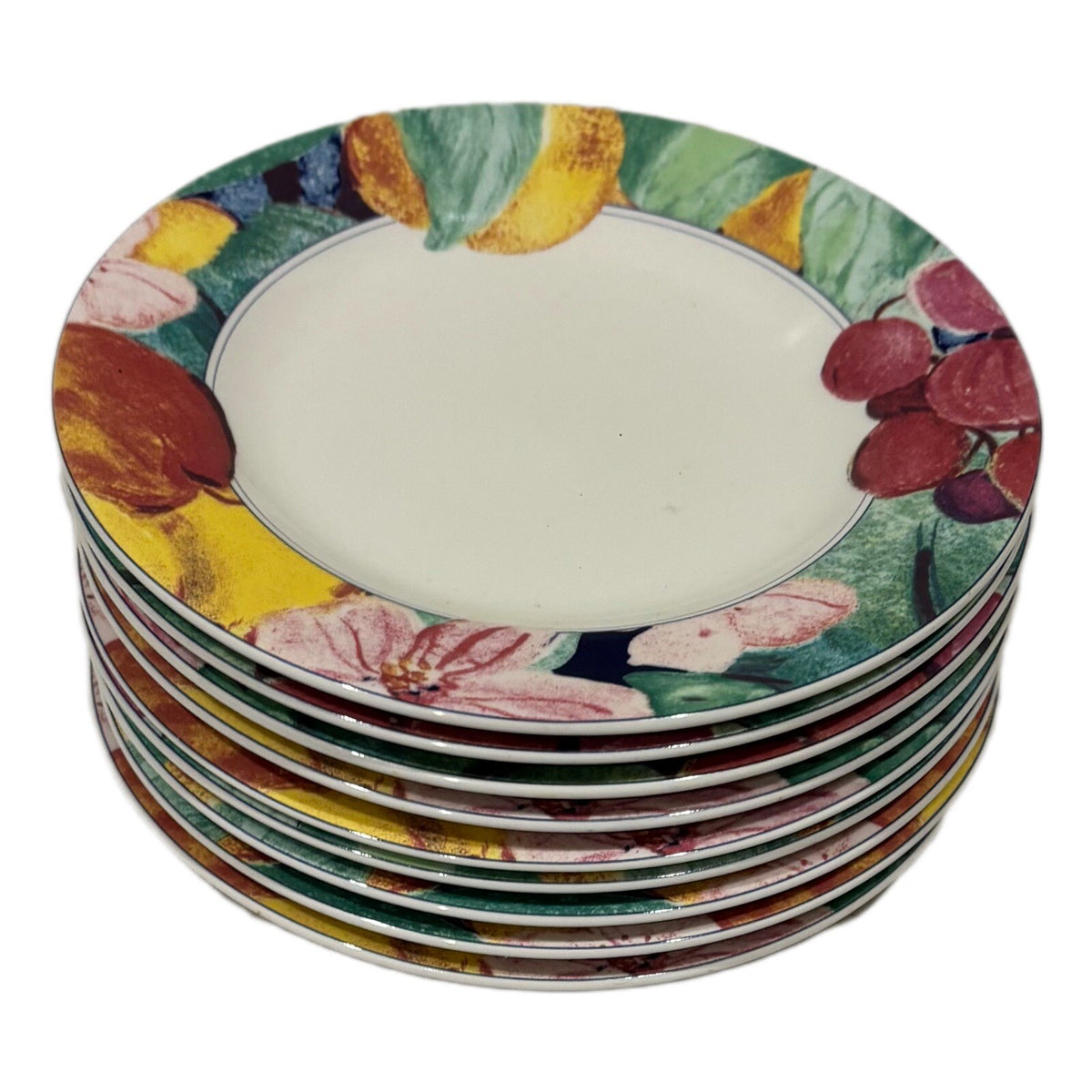 Mikasa Maxima EXOTIC GARDEN 9-Bread & Butter Plates Ceramic Appetizer Dessert