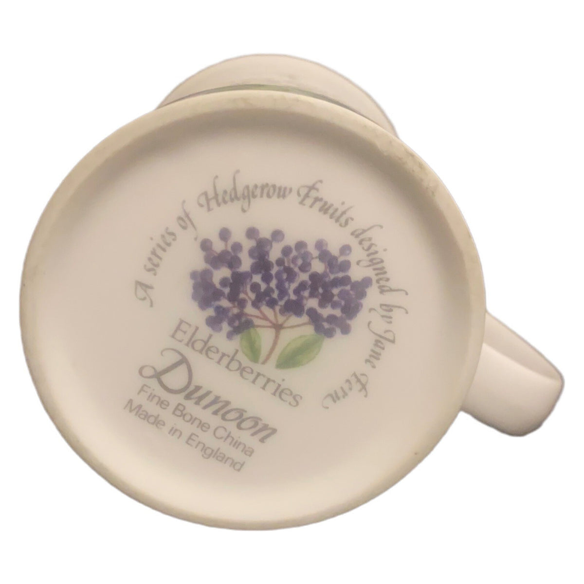 Dunoon Hedgerow Mug Elderberries Bone Fruits China England  JANE FERN Design Tea