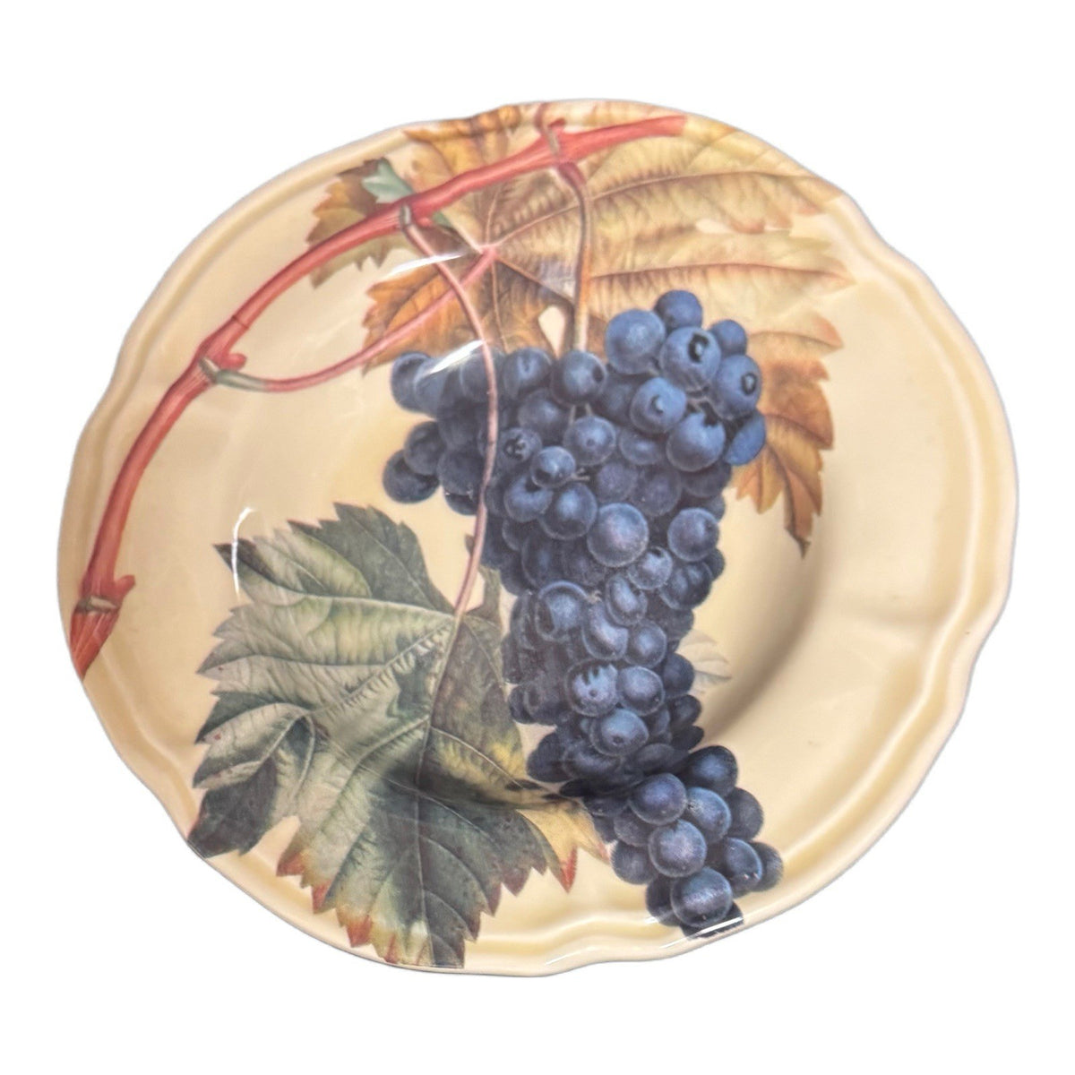 Certified Intl Italy Vintage Cypress Grape 9.5” Soup Pasta Bowls Set of 4
