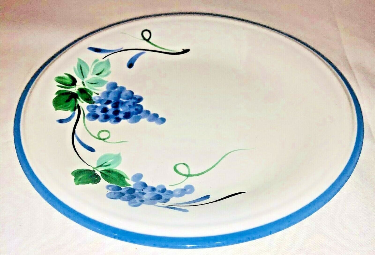 Savoir Vivre VINEYARD Dinnerware Japan Collection Oven To Table JF031 