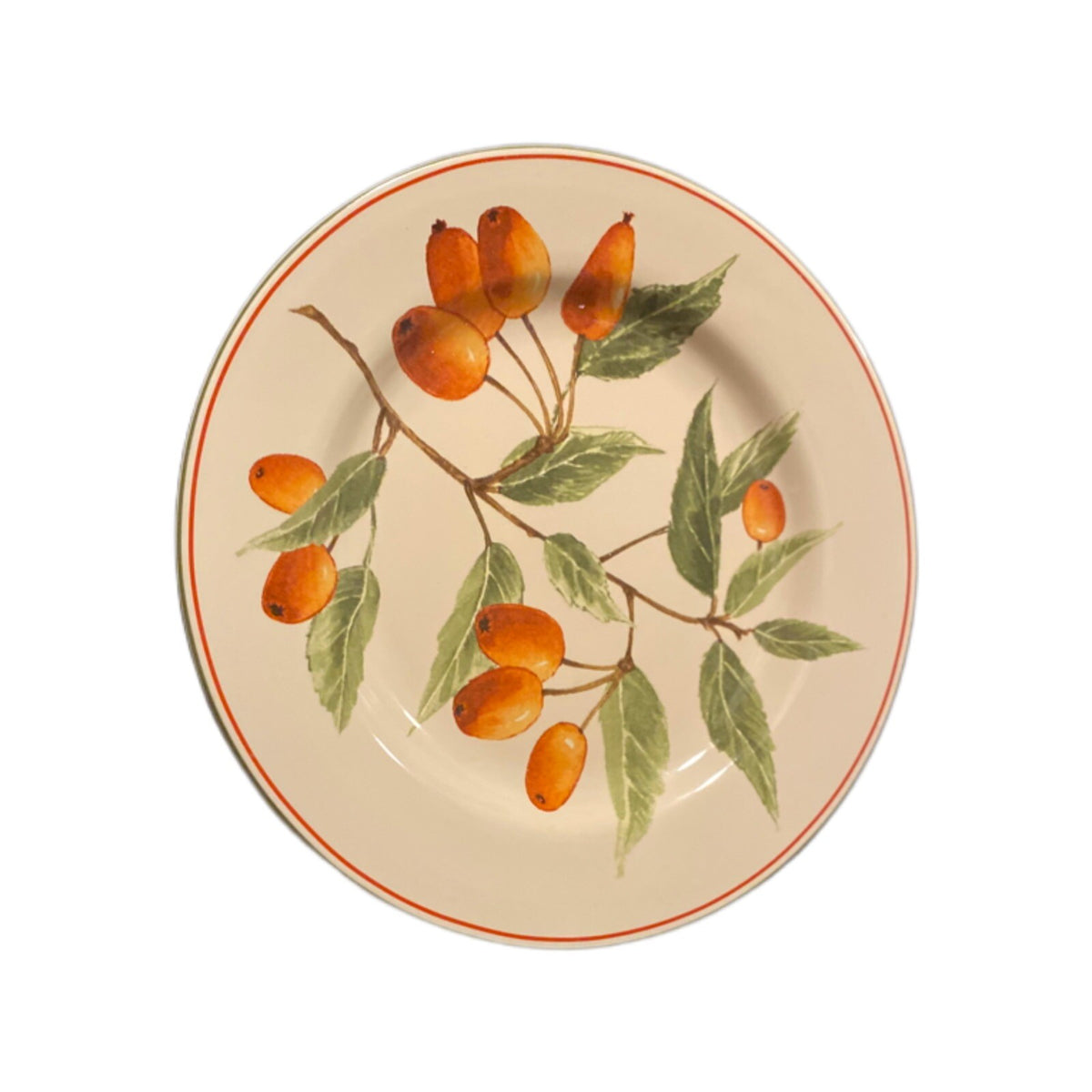 Oneida Sakura BERRY FIELDS Salad Dessert Plate Bright Orange Berries Stoneware