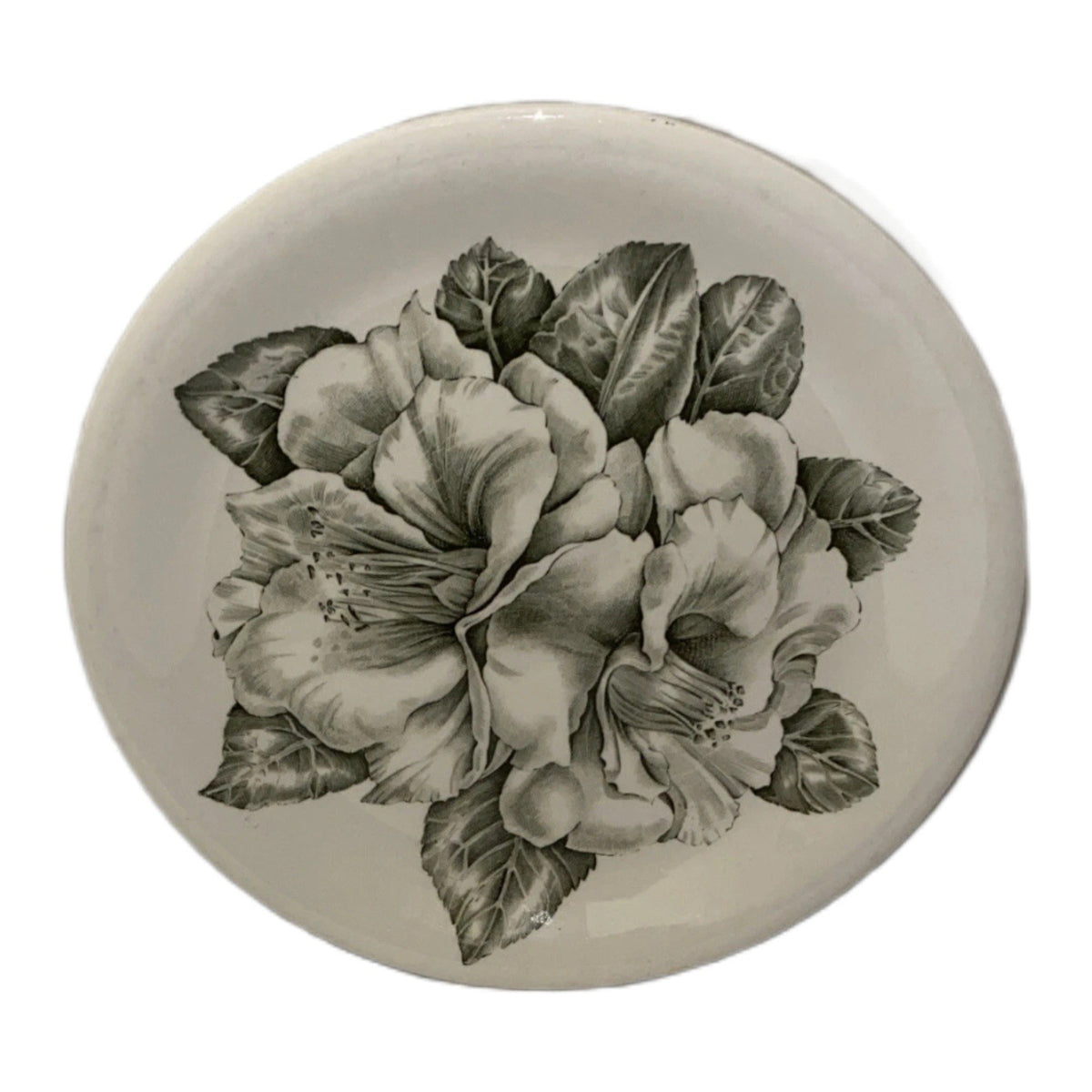 Johnson Brothers Camellia Set of 2 Dinner Plates 10” D Green Floral England
