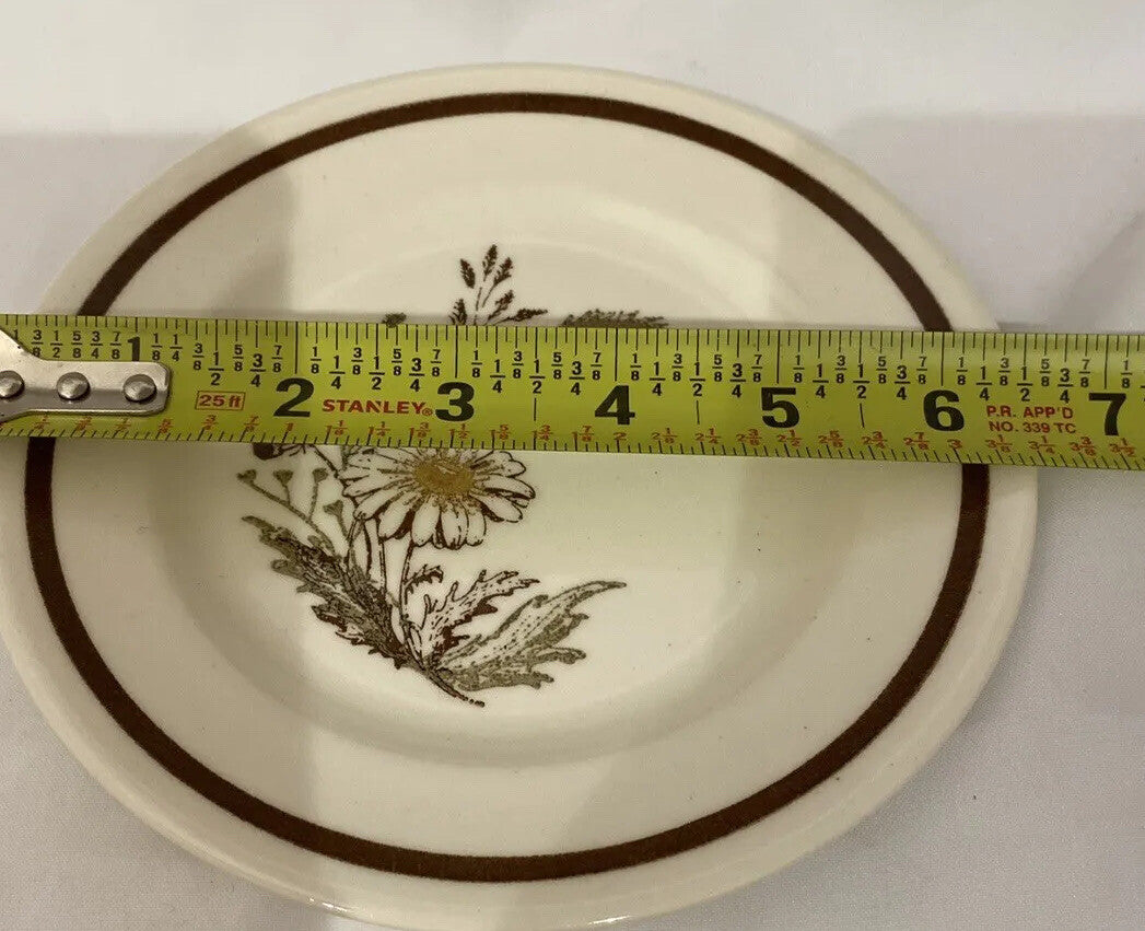 Vintage AUTUMN MIST Royal China Americana 1-Bread 4-Cups 2 Saucers Daisies USA