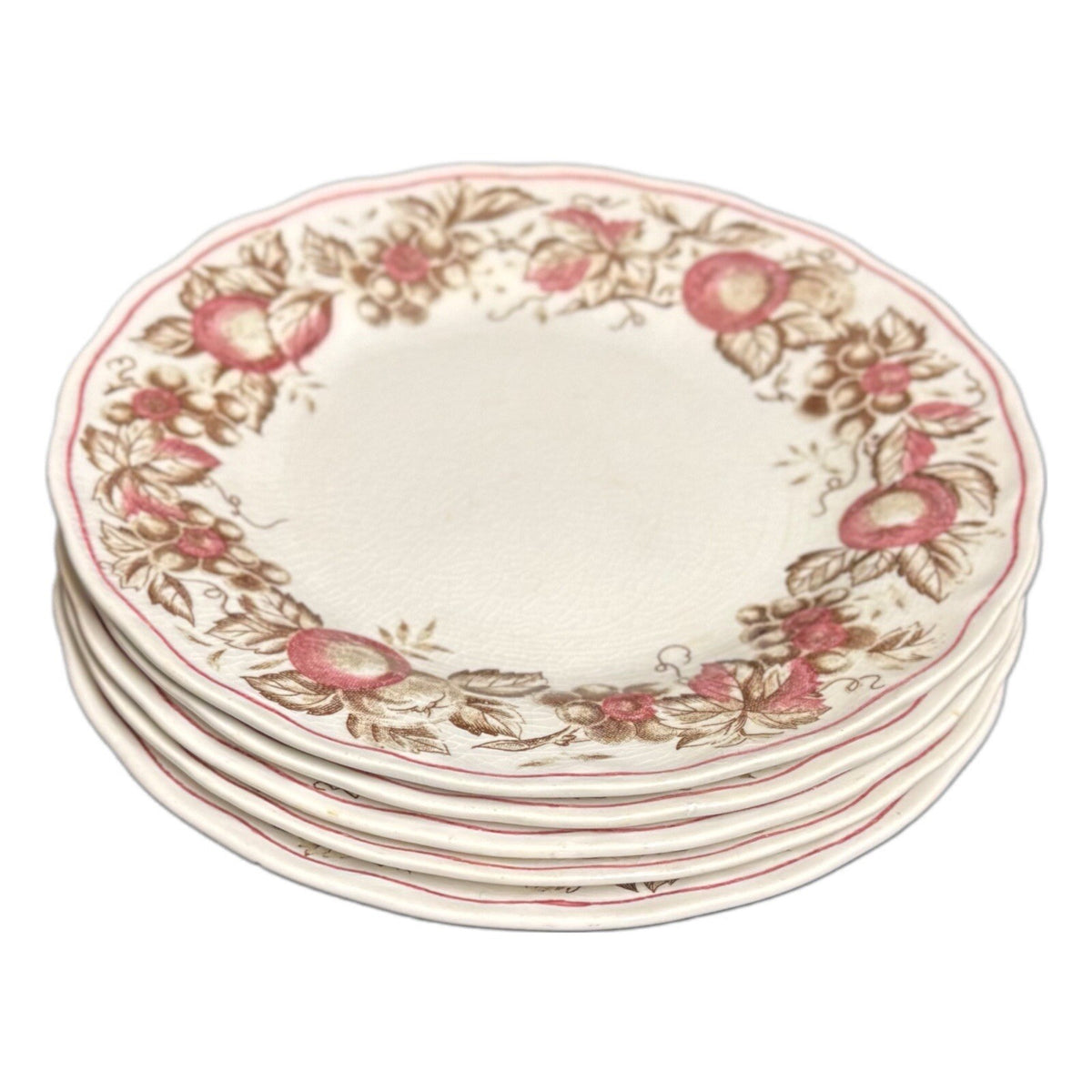 Double Phoenix INDIAN SUMMER 5-Bread And Butter Plates Iron Stone Dessert Dish