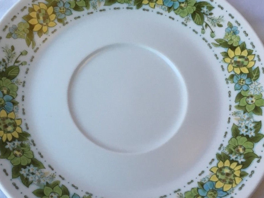 Vintage Noritake "SPRINGFIELD" Japan 9026 Ceramic Collection (Progression)