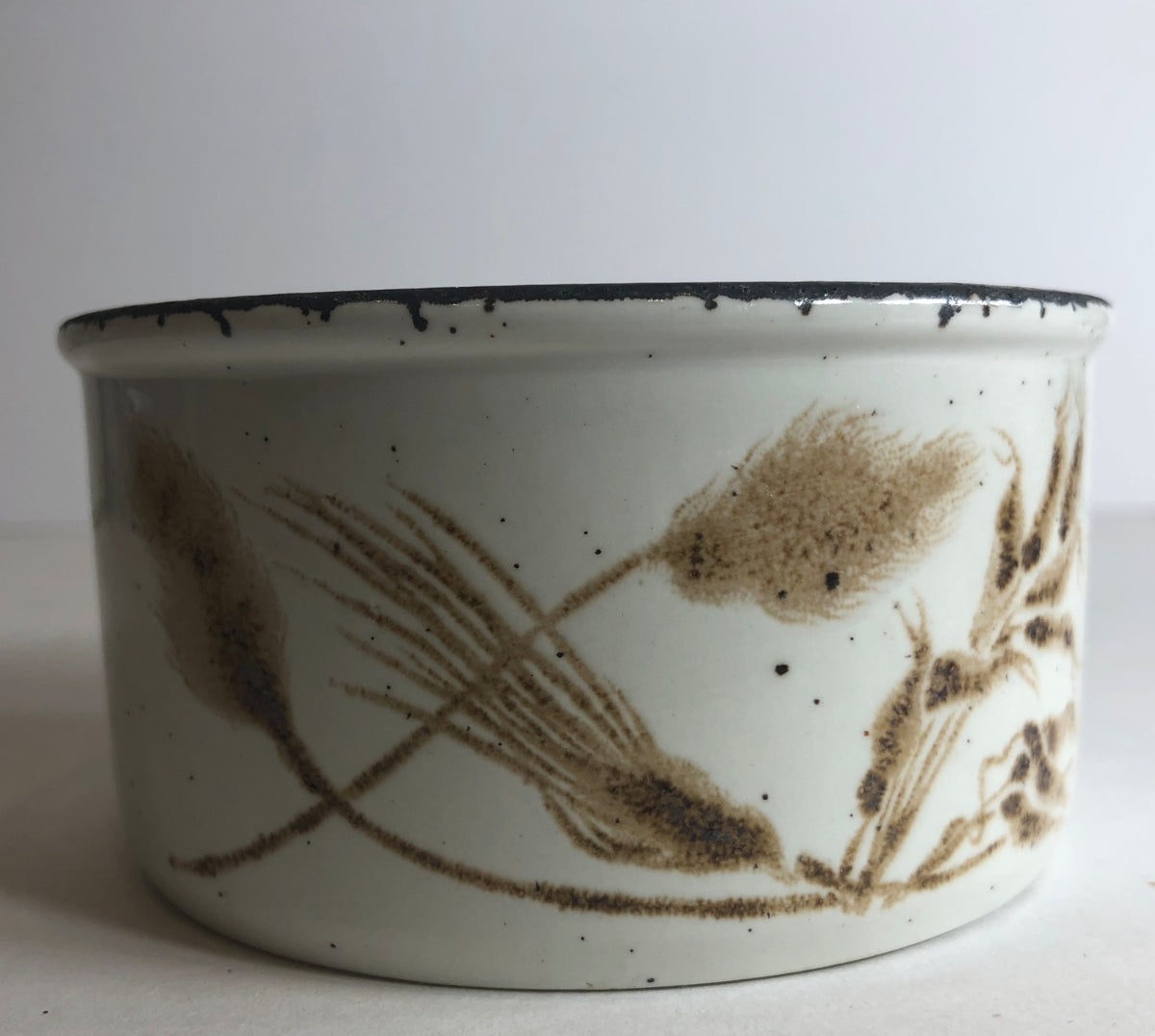 Midwinter Wild Oats Stonehenge England Collection "Oven to Tableware"