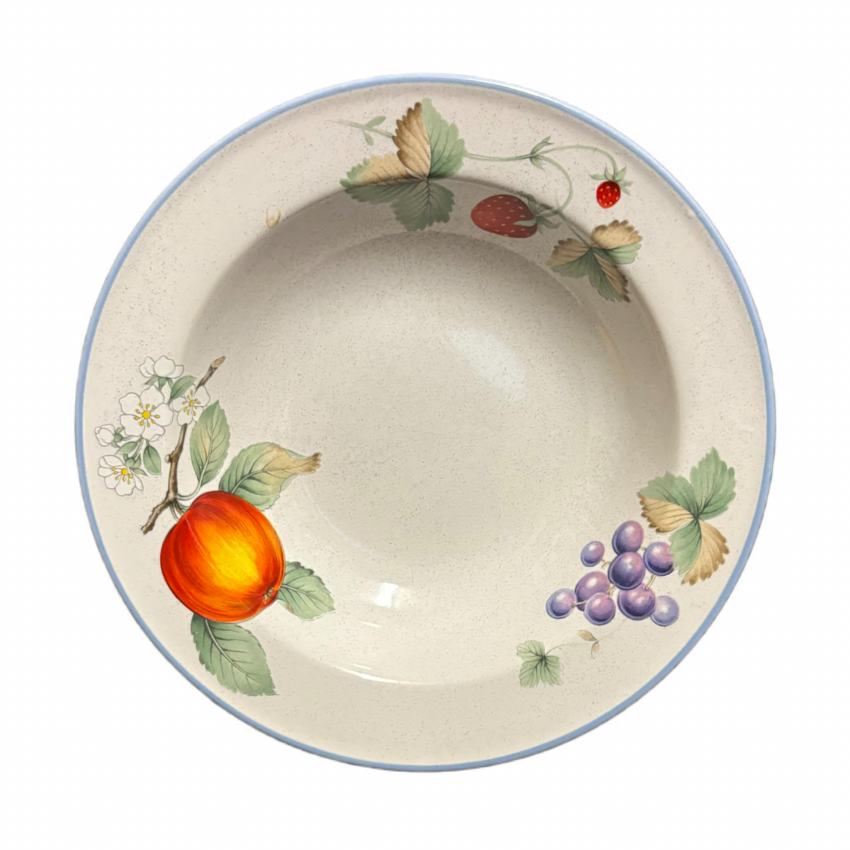 Savoir Vivre Luscious Fruit Rim Soup Bowls Set 4 Japan JJ017 8 1/8”D
