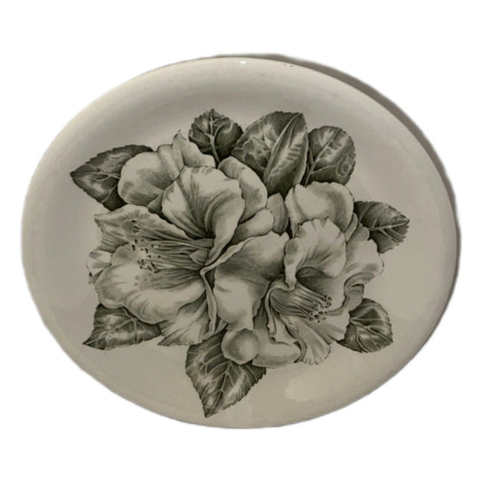 Johnson Brothers Camellia Set of 2 Dinner Plates 10” D Green Floral England