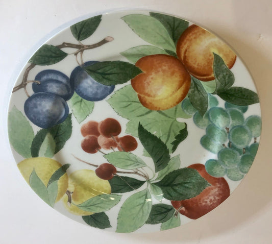 Studio Nova AUTUMN JEWELS Oven Table Japan Dinnerware Collection YA062