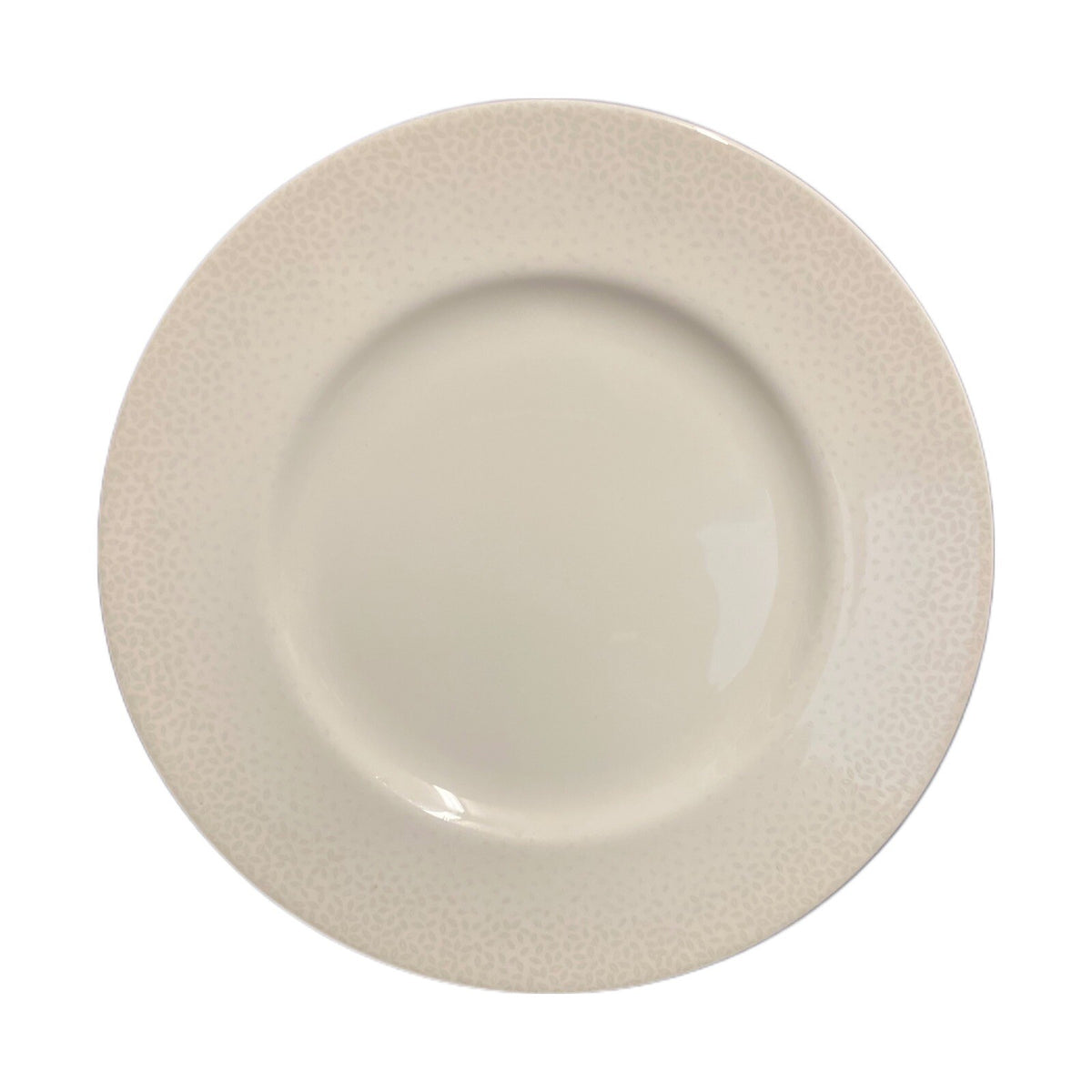 LENOX EFFERVESCENT 2-Dinner Plates Simply Fine Bone China White Chip Resistant