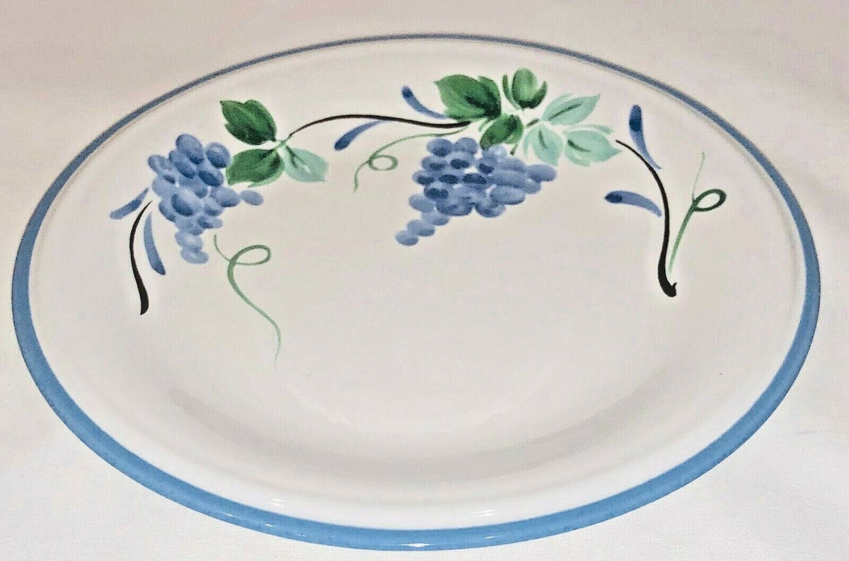 Savoir Vivre VINEYARD Dinnerware Japan Collection Oven To Table JF031 