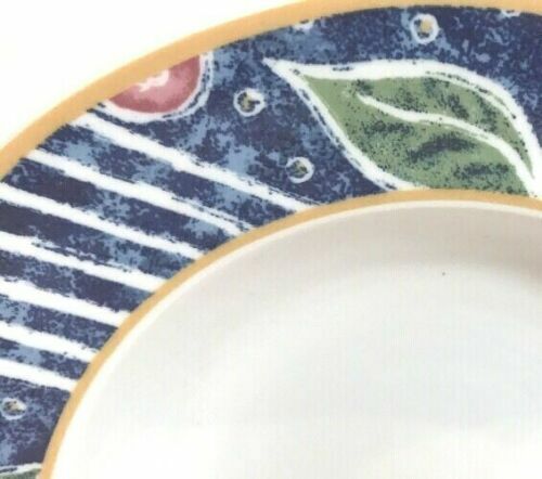 Pfaltzgraff ATMOSPHERE MONTAGE 20 Piece Service For 4 Ceramic Designed In USA