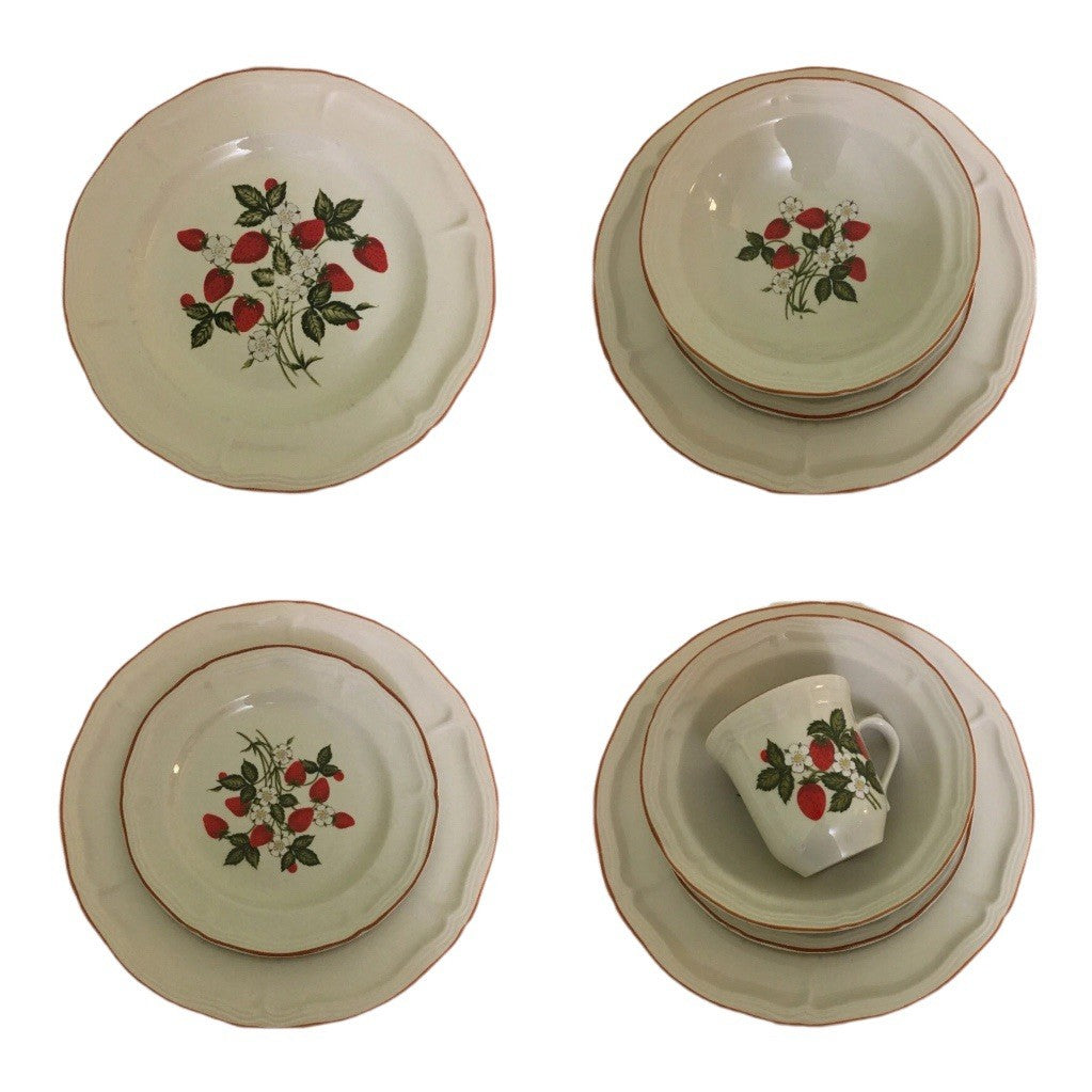 5pc Fruit Garden Strawberry Stoneware Dinner Plate Bowl Cup Saucer Set For 1