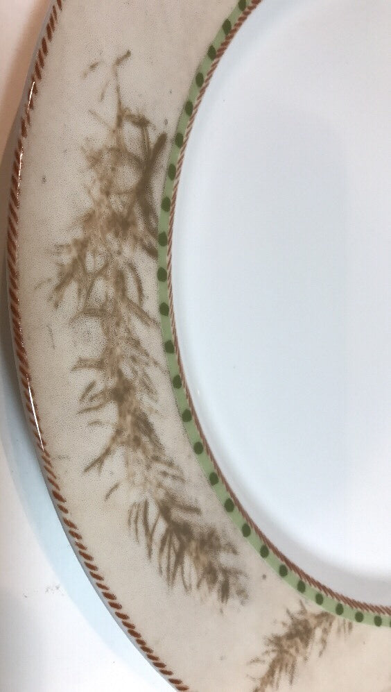 Dansk FERN 4 Piece Place Setting For 1 International Designs Portugal NR/CC