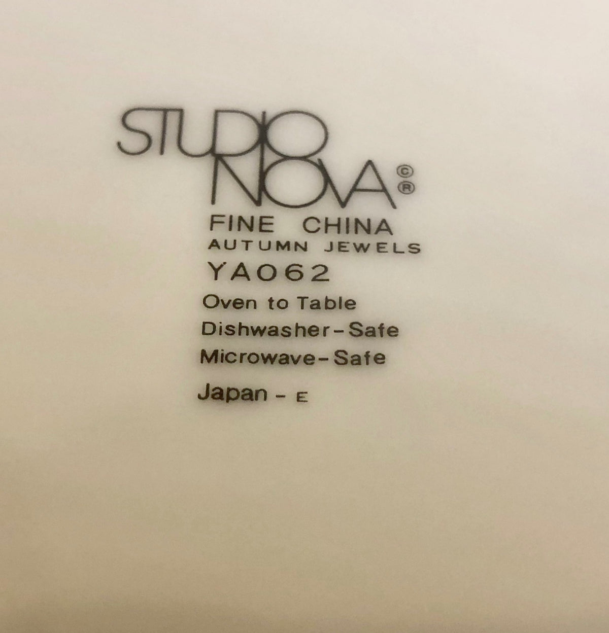 Studio Nova AUTUMN JEWELS Oven Table Japan Dinnerware Collection YA062