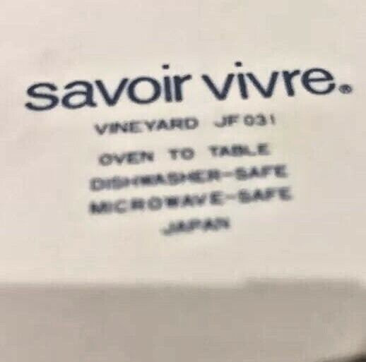 Savoir Vivre VINEYARD Dinnerware Japan Collection Oven To Table JF031 