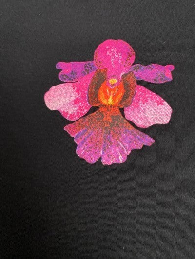 La Belle T-Shirt Flower Butterfly Black Top V Neck Short Sleeves 3XL Tee