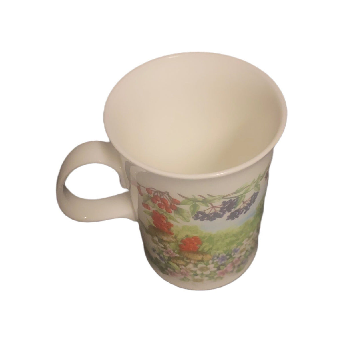 Dunoon Hedgerow Mug Elderberries Bone Fruits China England  JANE FERN Design Tea