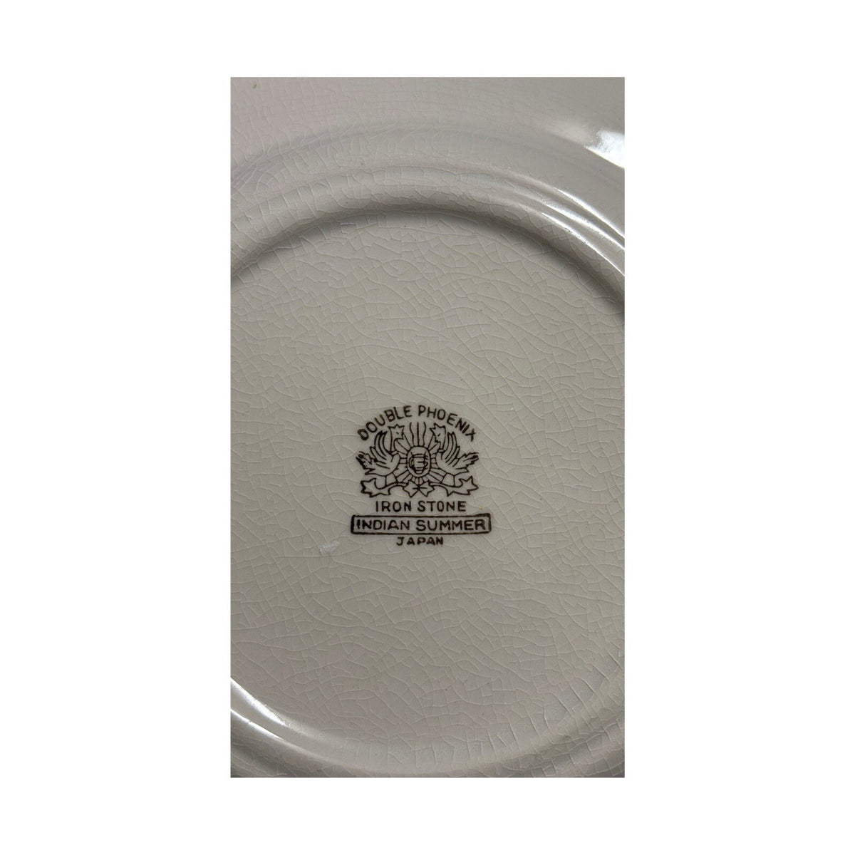 Double Phoenix INDIAN SUMMER 5-Bread And Butter Plates Iron Stone Dessert Dish