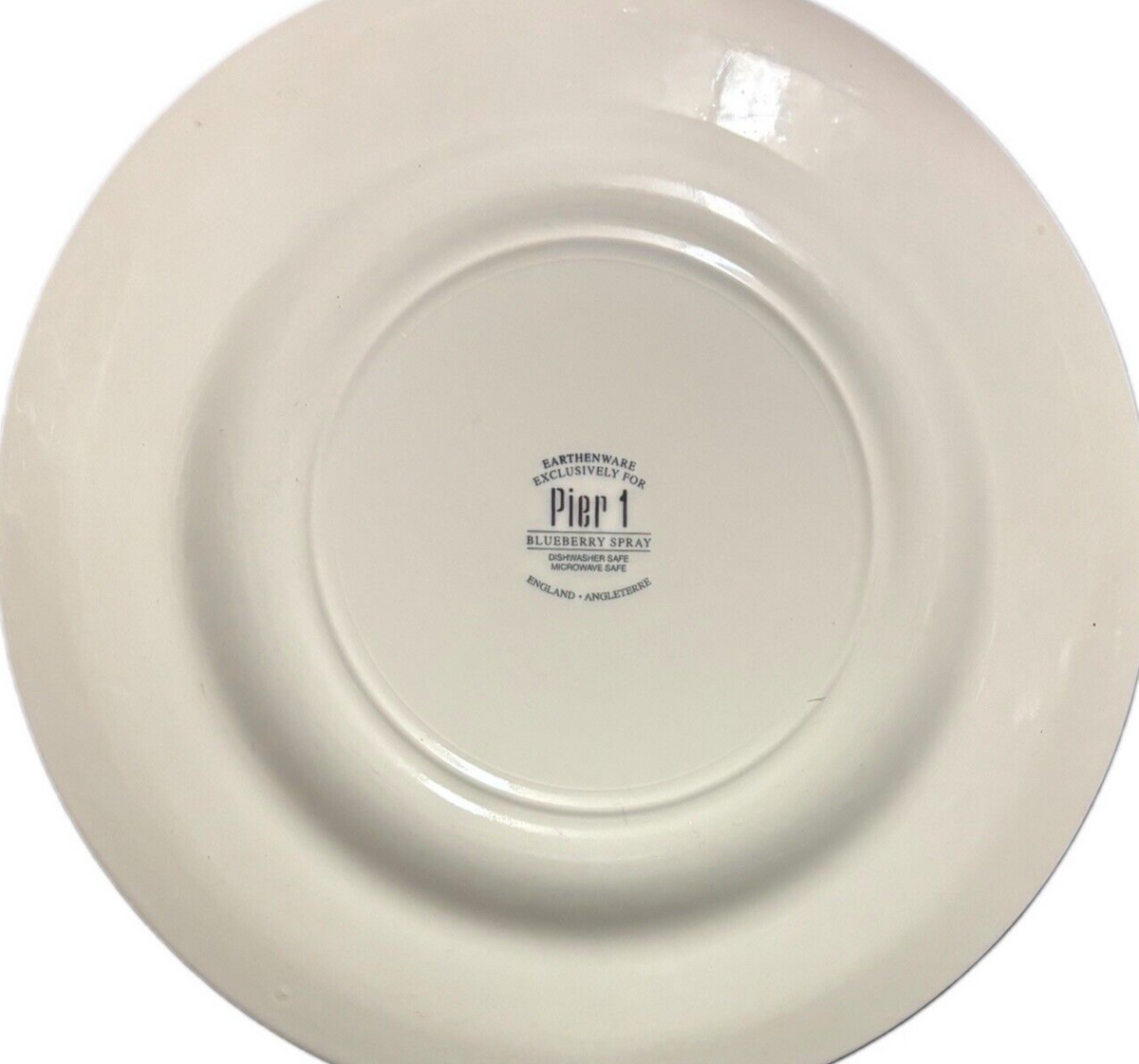 Pier 1 Blueberry Spray Set Of 6 Dinner Plates Earthenware England 10 3/4”D
