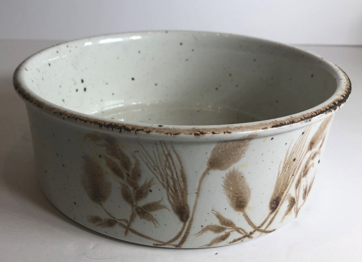 Midwinter Wild Oats Stonehenge England Collection "Oven to Tableware"