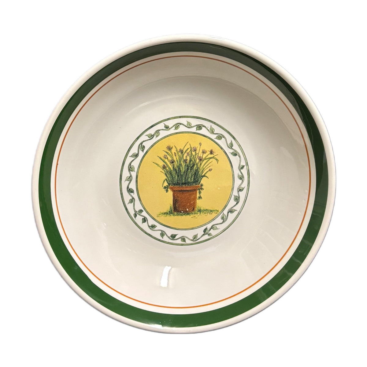 Vintage CIC Italy Set 1_Serving Bowl 4-Pasta Bowls Wild Herb Plant Green Border