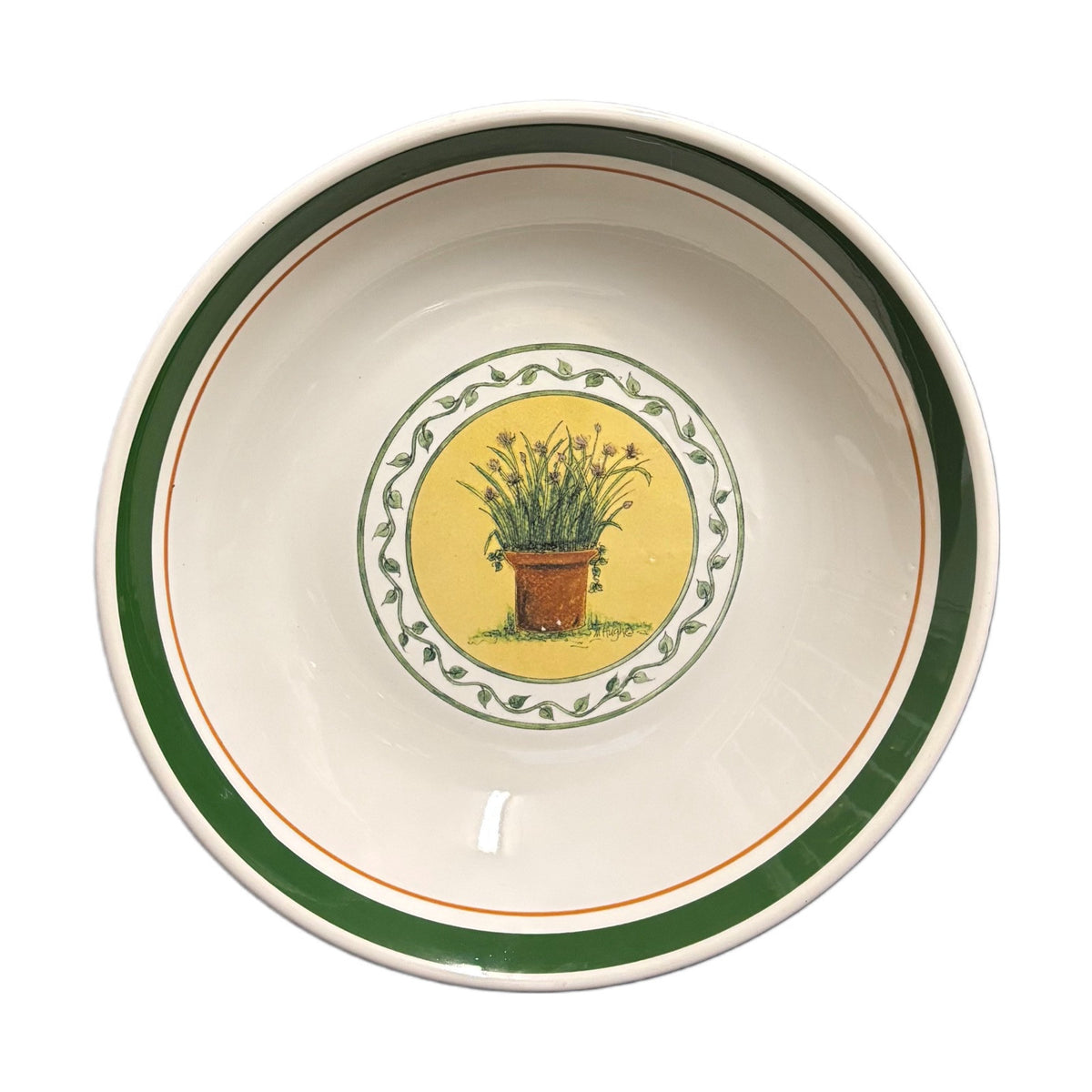 Vintage CIC Italy Set 1_Serving Bowl 4-Pasta Bowls Wild Herb Plant Green Border