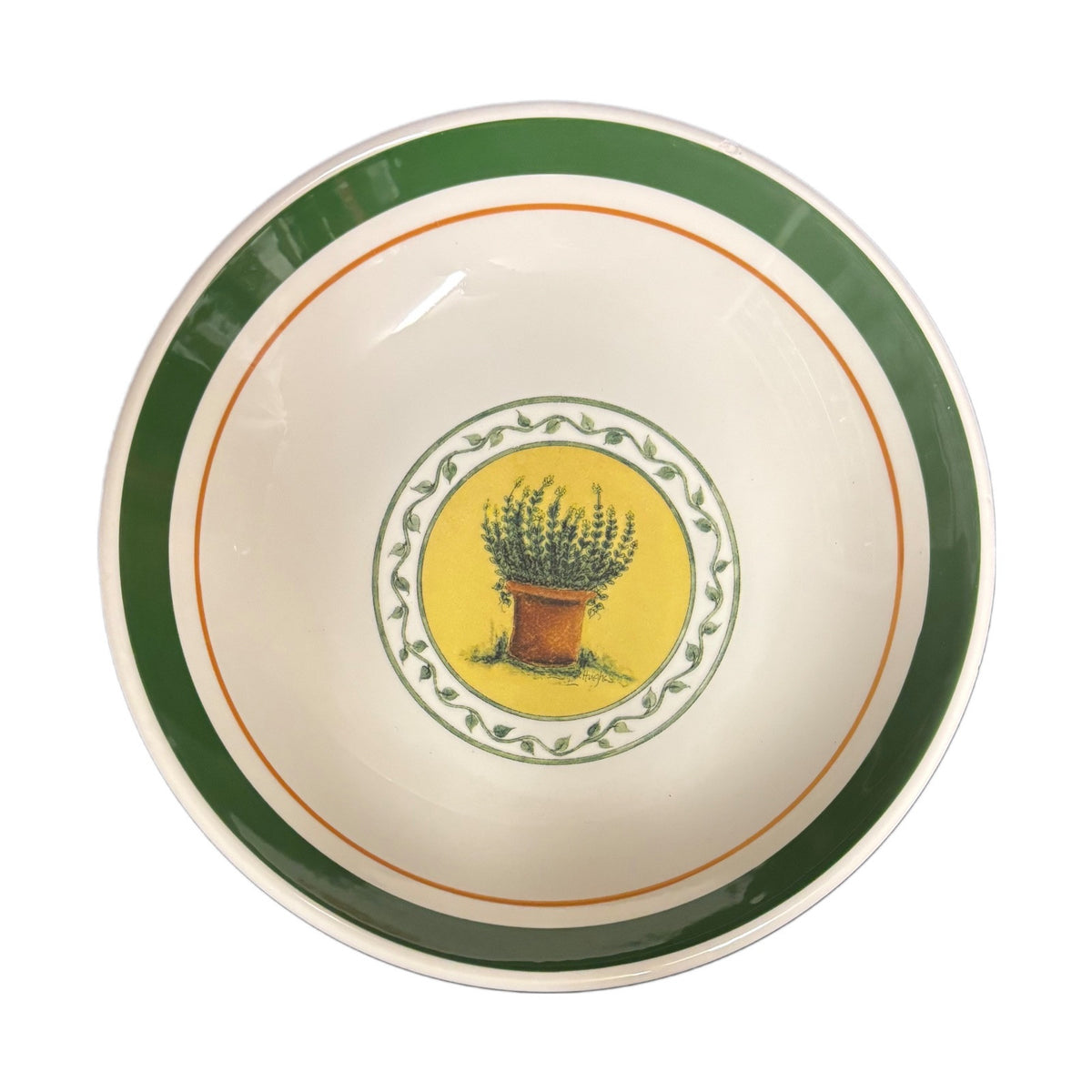 Vintage CIC Italy Set 1_Serving Bowl 4-Pasta Bowls Wild Herb Plant Green Border