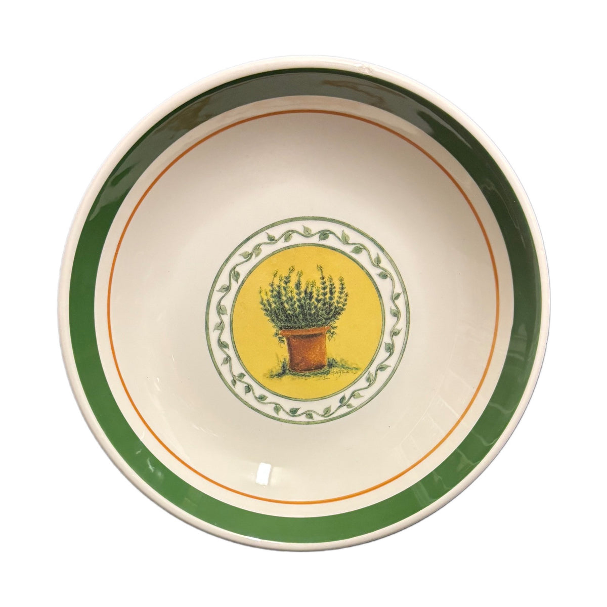 Vintage CIC Italy Set 1_Serving Bowl 4-Pasta Bowls Wild Herb Plant Green Border