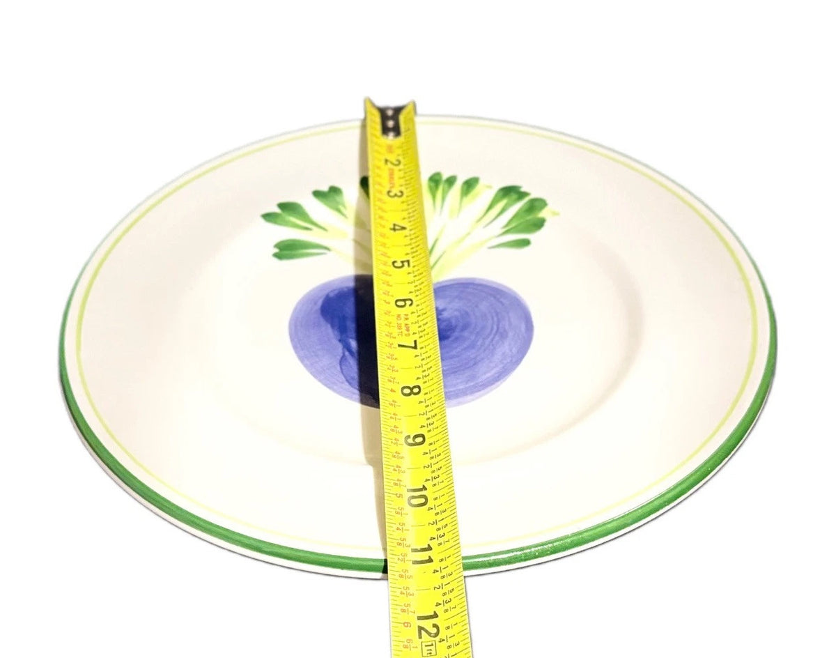PIZZATO Italy 2-Dinner Plates Hand Painted Carrots Beet Ceramic White Green Trim